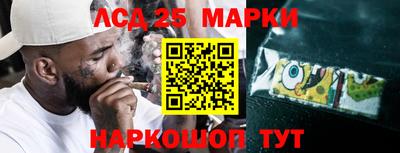 прущие грибы Будённовск