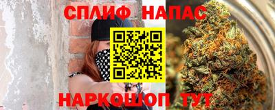прущие грибы Будённовск