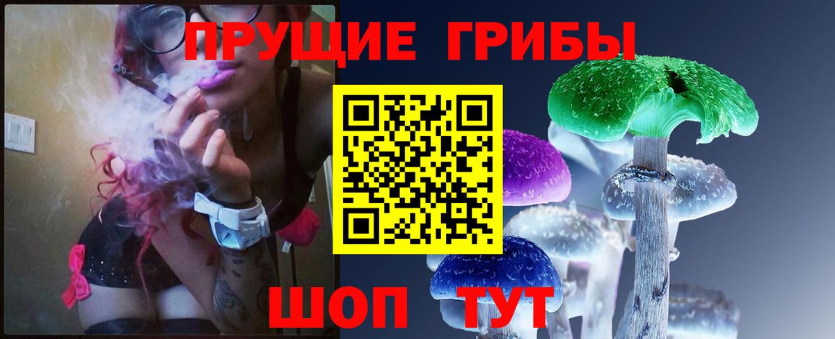 Будённовск  Галлюциногенные грибы прущие грибы  Псилоцибиновые грибы MAGIC MUSHROOMS  Вход с VPN 